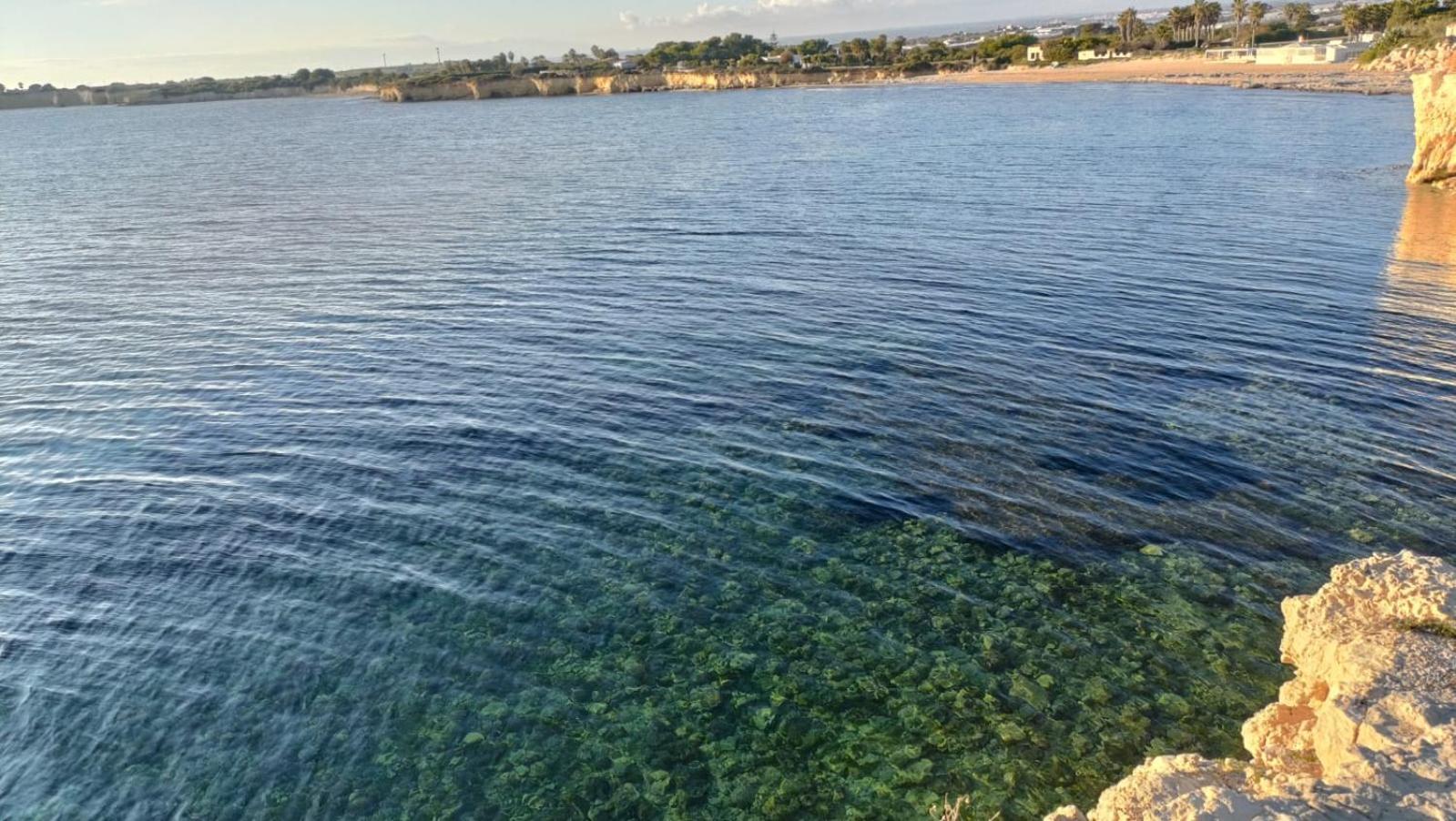 Villa Fior D'Oleandro سانتا ماريا ديل فوكالو المظهر الخارجي الصورة